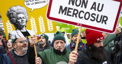 Crise agricole : Macron incertain sur l'accord Mercosur en janvier.