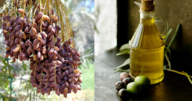 Dattes et huile d'olive : pas de prospective ni d'anticipation