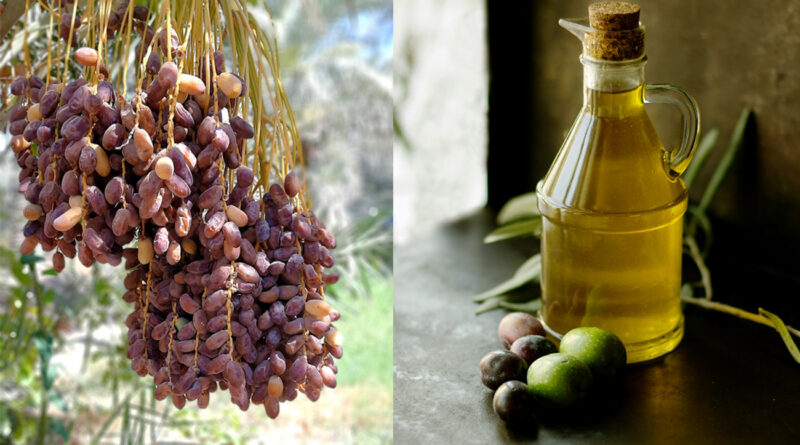 Dattes et huile d'olive : pas de prospective ni d'anticipation