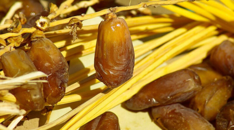 Dattes : la Tunisie ne produit que 30 % de la production mondiale, selon l'APIA