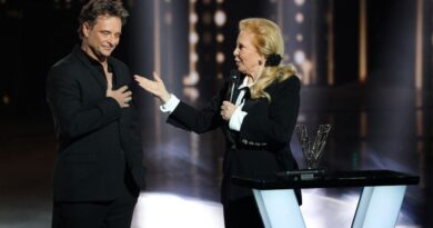 David Hallyday n'a pas joué dans une production hollywoodienne à cause de sa mère.