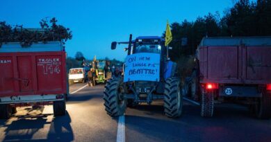 Dermatose : Agriculteurs bloquent l'autoroute A64 près de Toulouse