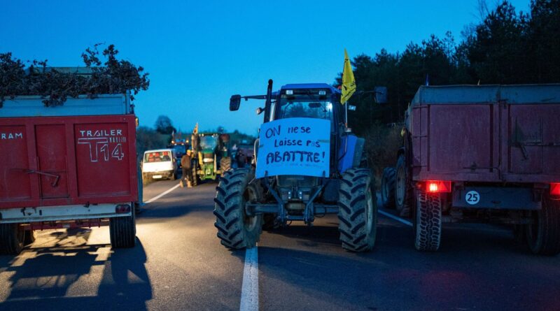 Dermatose : Agriculteurs bloquent l'autoroute A64 près de Toulouse