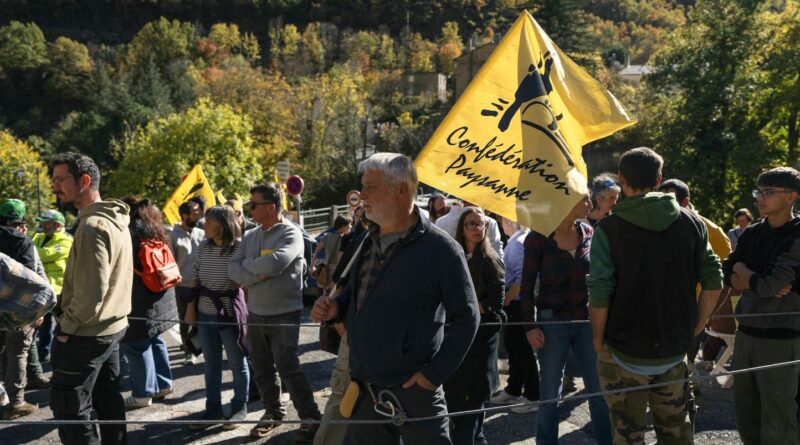 Dermatose : agriculteurs s’opposent aux abattages en Ariège, tensions avec gendarmes