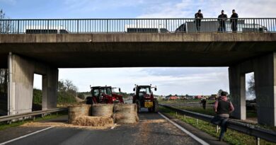 Dermatose bovine : Blocages d'agriculteurs toujours actifs dans le Sud-Ouest