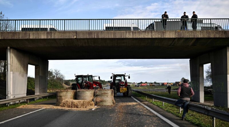 Dermatose bovine : Blocages d'agriculteurs toujours actifs dans le Sud-Ouest
