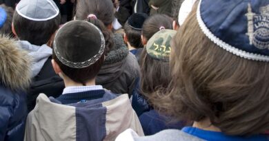 Des livres racistes et antisémites interdits accessibles gratuitement en ligne.