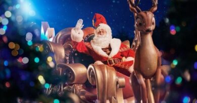 EN IMAGES. Comment réaliser un sapin de Noël comme à Disneyland Paris ?