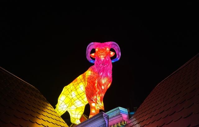 En images : Tour de France des plus beaux marchés de Noël.