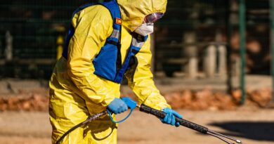 Espagne : La fuite de laboratoire « pas exclue » pour la peste porcine