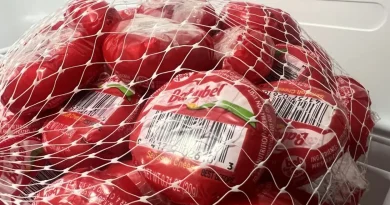 États-Unis : Babybel ne symbolise pas un changement des comportements alimentaires
