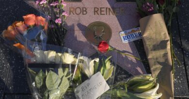 Etats-Unis : Nick Reiner n'est pas apte à comparaître pour meurtre parental