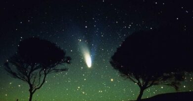 Étoiles filantes : nuits plus spectaculaires que d'autres expliquées.
