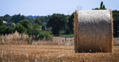 Être femme à la campagne : est-ce plus difficile ?