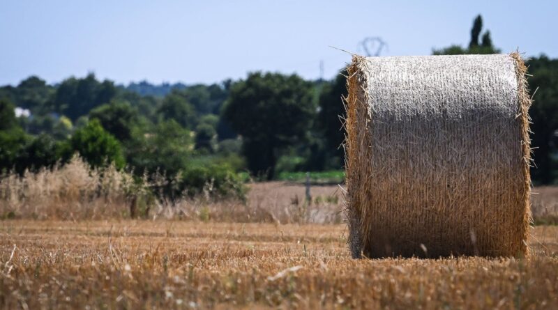 Être femme à la campagne : est-ce plus difficile ?