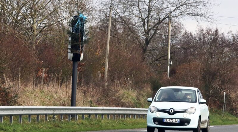 Excès de vitesse, téléphone, feux rouges : qui reçoit les amendes et leurs montants ?