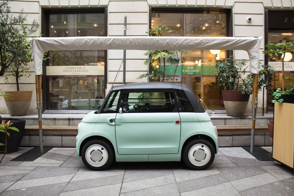 wp-image-1973560 wp-image