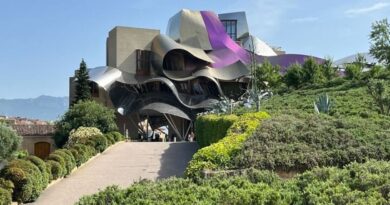 Frank Gehry, superstar de l'architecture, est mort à 96 ans