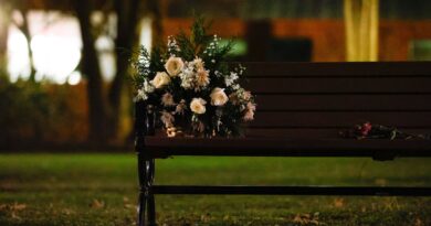 Fusillade à Brown : les États-Unis suspendent les « visas diversité » par tirage au sort.