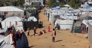 Gaza 2025 : famine, otages libérés et cessez-le-feu fragile.