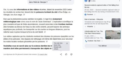 Google IA confirme une "pluie de poissons" produite par IA.