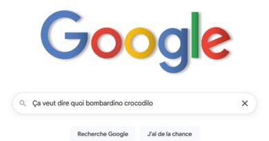 Google : Les expressions que vous n’avez pas comprises en 2025