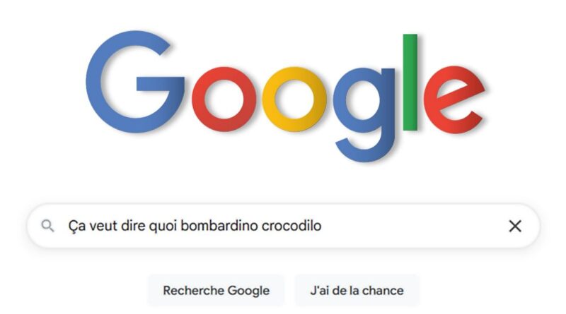 Google : Les expressions que vous n’avez pas comprises en 2025