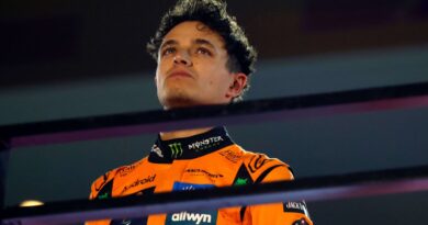 Grand Prix d'Abu Dhabi 2025 en F1 : Résultats et classements finaux