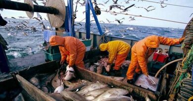 «Halieutis» : La secrétaire d'État révèle des chiffres élogieux.