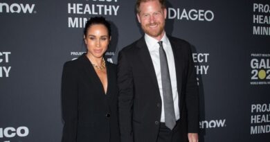 Harry et Meghan partagent une photo de leurs enfants pour 2025.