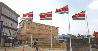 Horreur au Suriname : neuf personnes poignardées à mort, dont cinq enfants