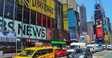 Imani Smith, célèbre grâce à « Le Roi Lion », tuée lors d'une agression.