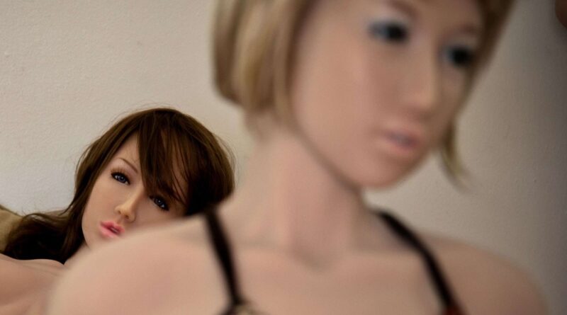 Informaticiens, employés de mairies, électriciens : les acheteurs de poupées pédopornographiques interpellés.