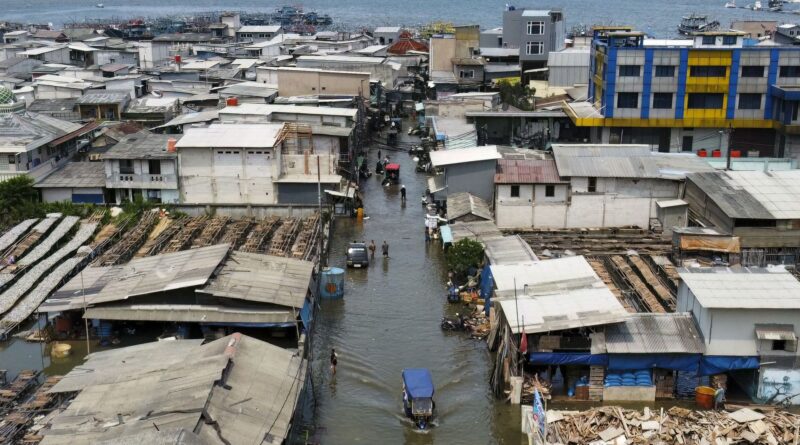 Inondations en Indonésie : plus de 900 morts et peur de famine