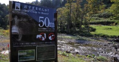 Japon : La montre connectée d’un randonneur tué par un ours montre ses derniers instants.