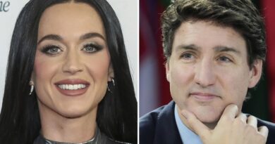 Justin n'est pas le seul Trudeau à craquer pour une popstar.