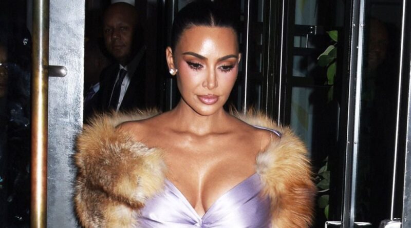 Kim Kardashian critiquée pour avoir offert des chiots à Noël.