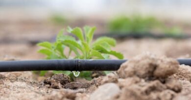 La durabilité hydrique ne nécessite pas de solutions fondées sur la nature.