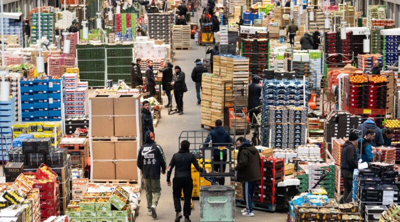 « La ministre de l'Agriculture appelle à un grand réveil alimentaire »