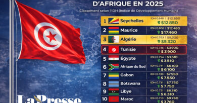 La Tunisie figure parmi les 5 pays africains avancés en 2025.
