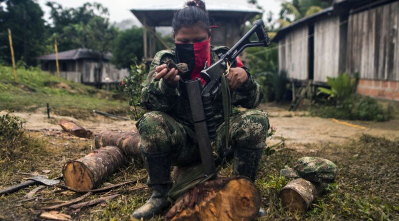 Le groupe armé colombien ELN annonce une trêve pour Noël.