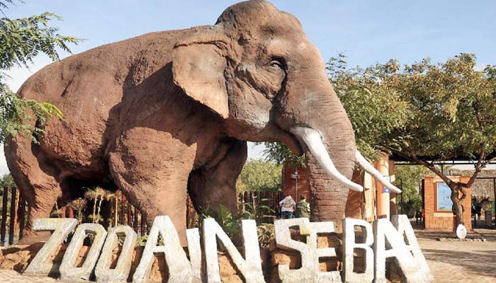 Le parc zoologique d'Aïn Sebaâ rouvre après réaménagement.