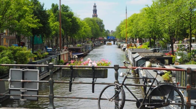 Le vélo retrouve des couleurs aux Pays-Bas après 2024 morose.