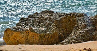 L'érosion menace 43 % des plages de sable tunisiennes.