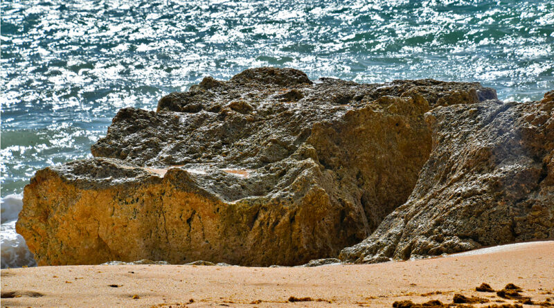 L'érosion menace 43 % des plages de sable tunisiennes.
