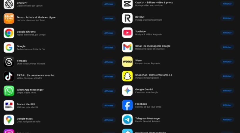 Les applications iPhone les plus téléchargées en 2025 sont…