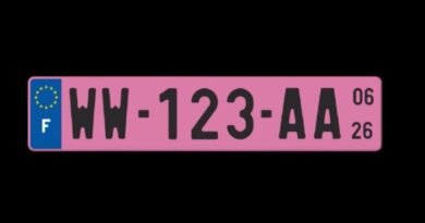 Les plaques d’immatriculation roses arrivent en France le 1er janvier 2026.