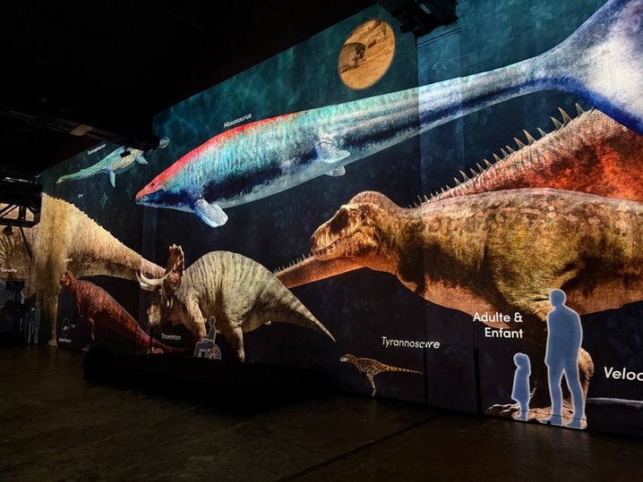 On se sent tout petits face aux monstres de «Planète préhistorique: Dinosaures - L’expérience immersive» à L'Atelier des Lumières.