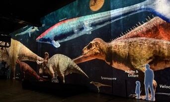 Les T-Rex et vélociraptors de l'Atelier des lumières : dinosaures en taille réelle.