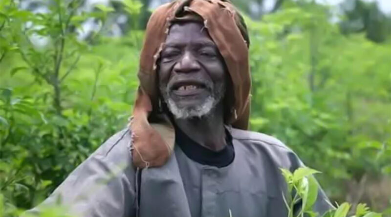 L’homme qui plante les baobabs de Michel K. Zongo : un documentaire qui ne fait pas d'impact